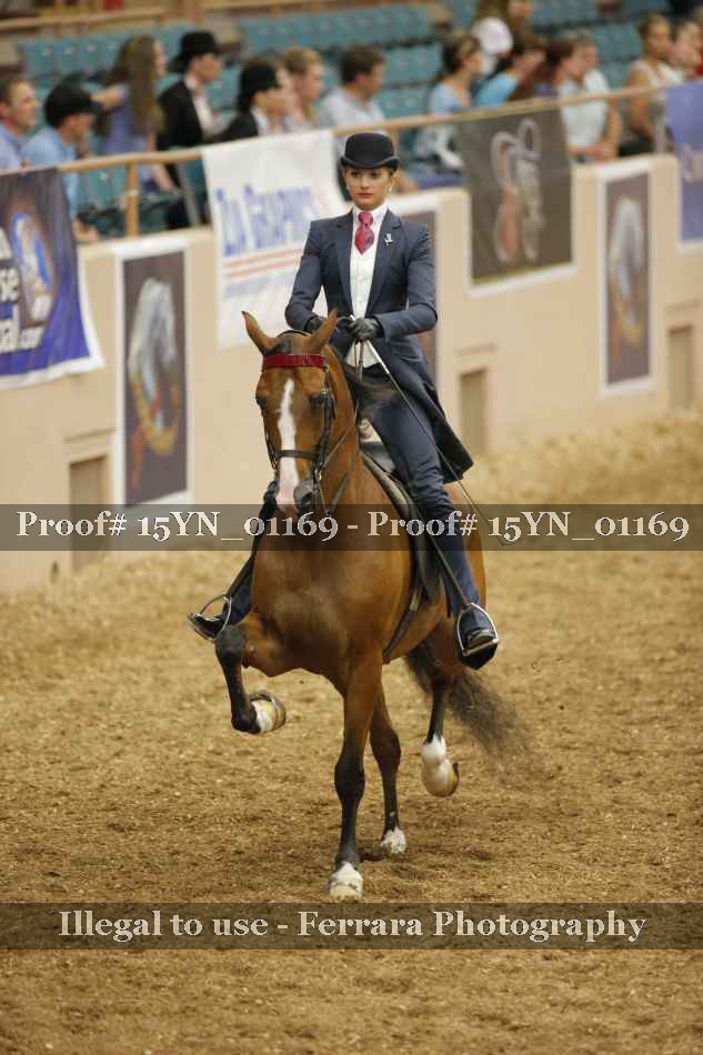 Proof 15YN_01169