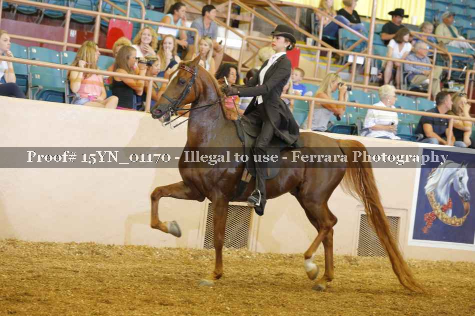 Proof 15YN_01170