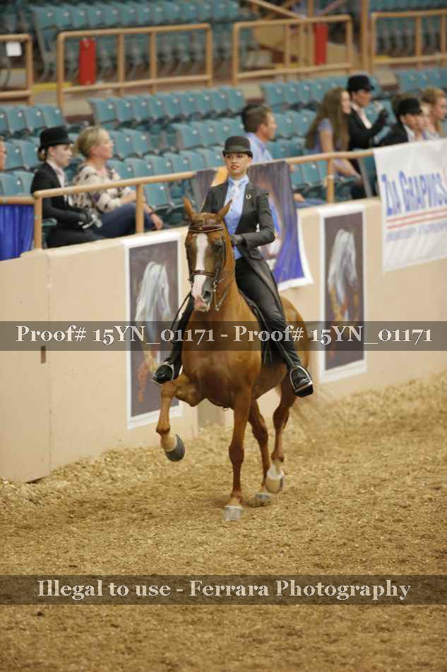 Proof 15YN_01171