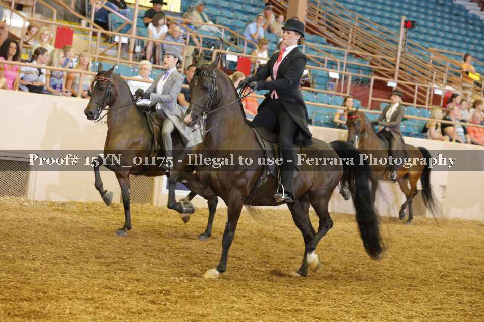 Proof 15YN_01175