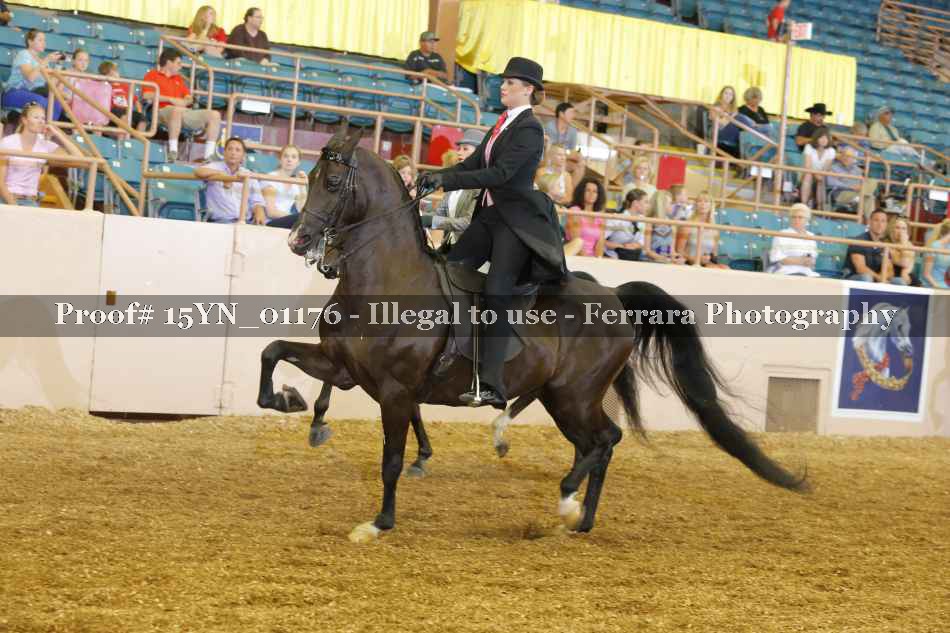 Proof 15YN_01176