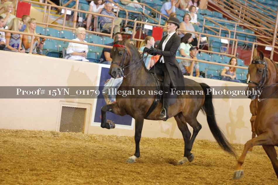 Proof 15YN_01179