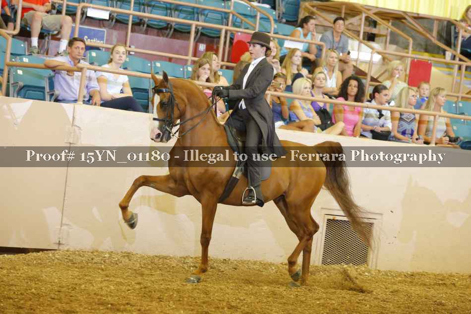 Proof 15YN_01180