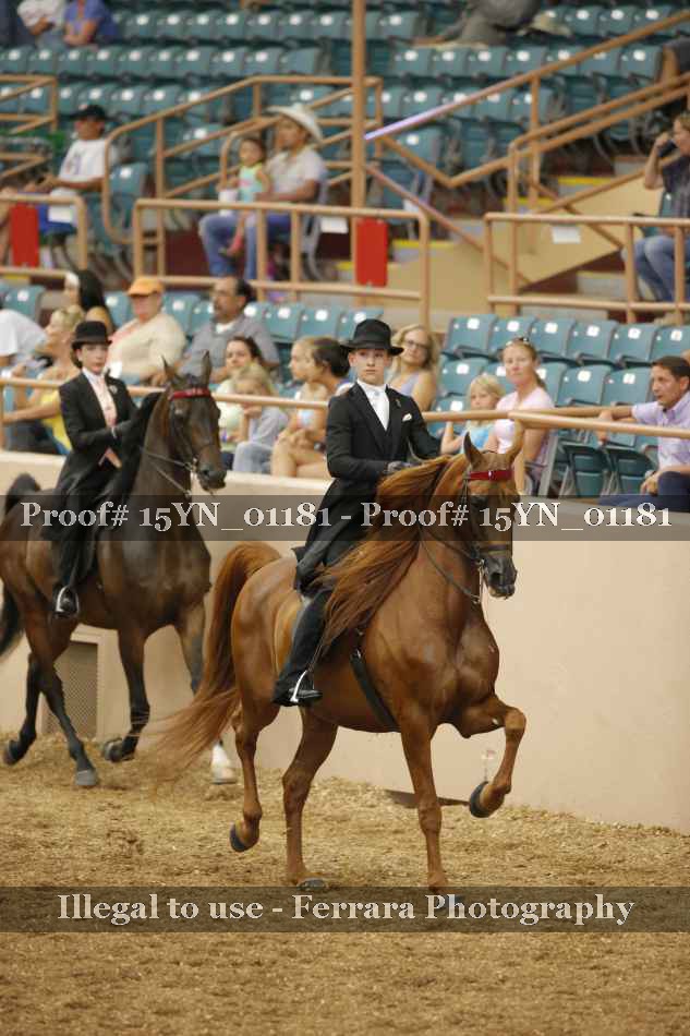 Proof 15YN_01181