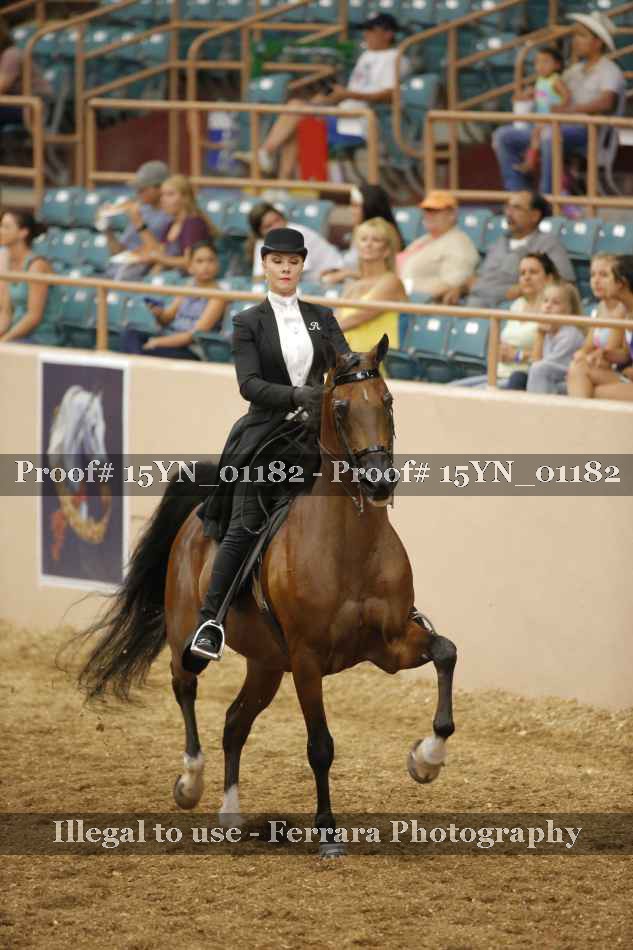 Proof 15YN_01182