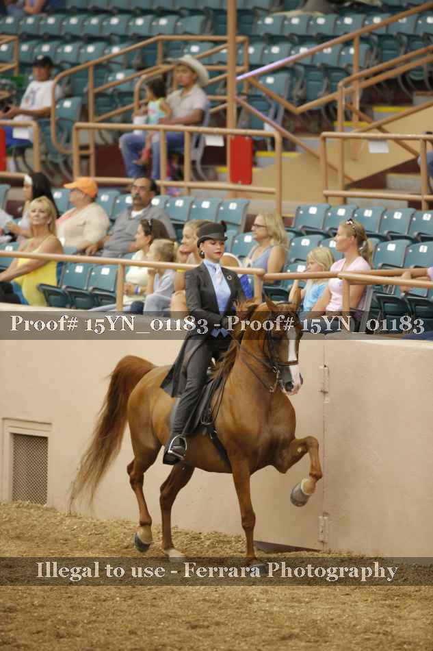 Proof 15YN_01183