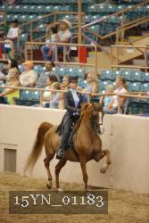 15YN_01183 proof