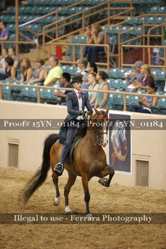 Proof 15YN_01184