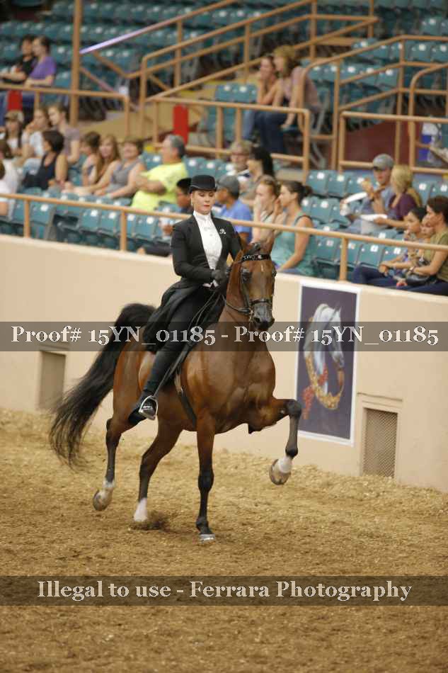 Proof 15YN_01185