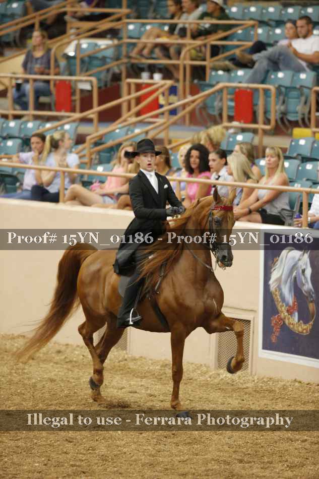 Proof 15YN_01186