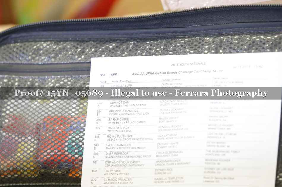 Proof 15YN_05689