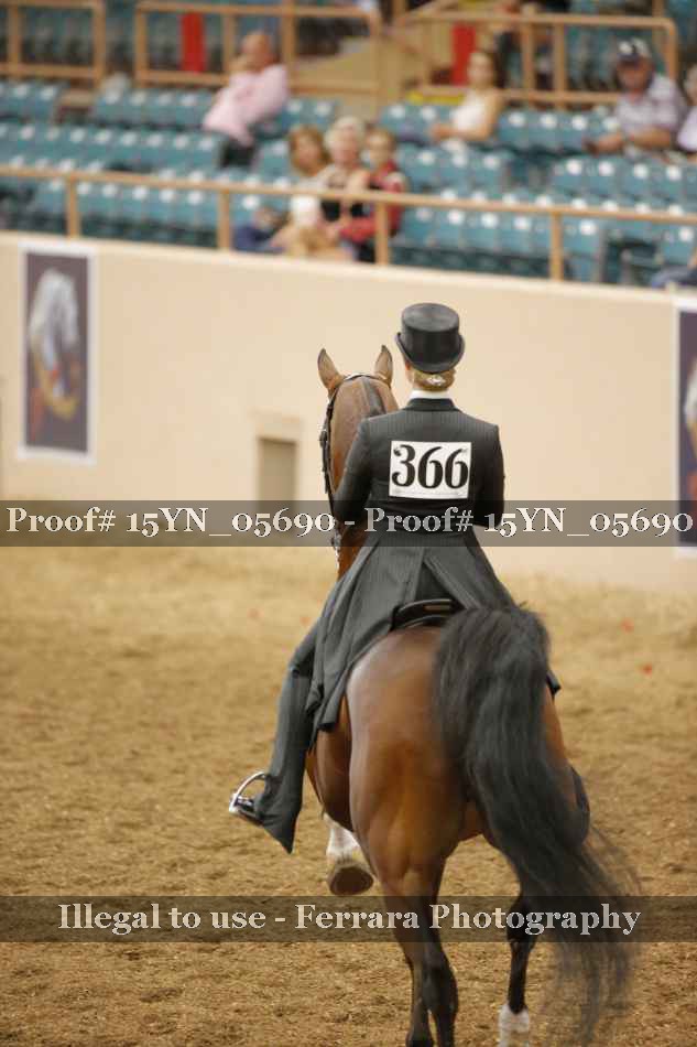 Proof 15YN_05690