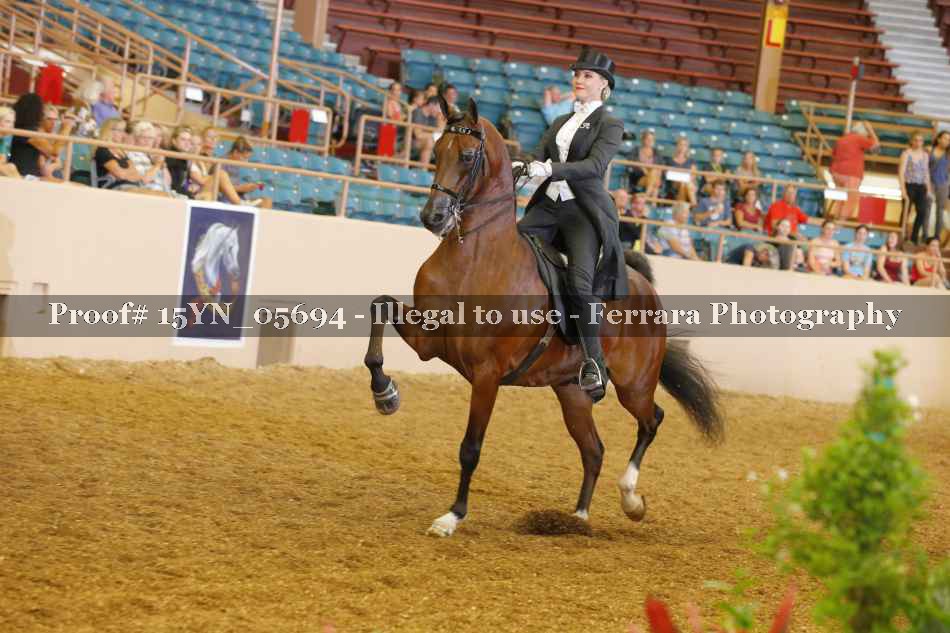 Proof 15YN_05694