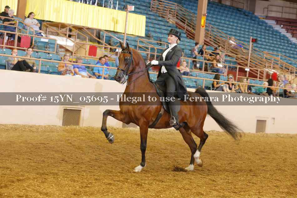 Proof 15YN_05695