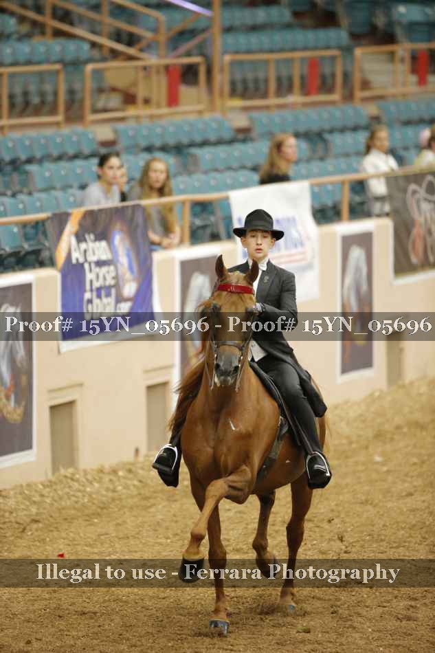 Proof 15YN_05696