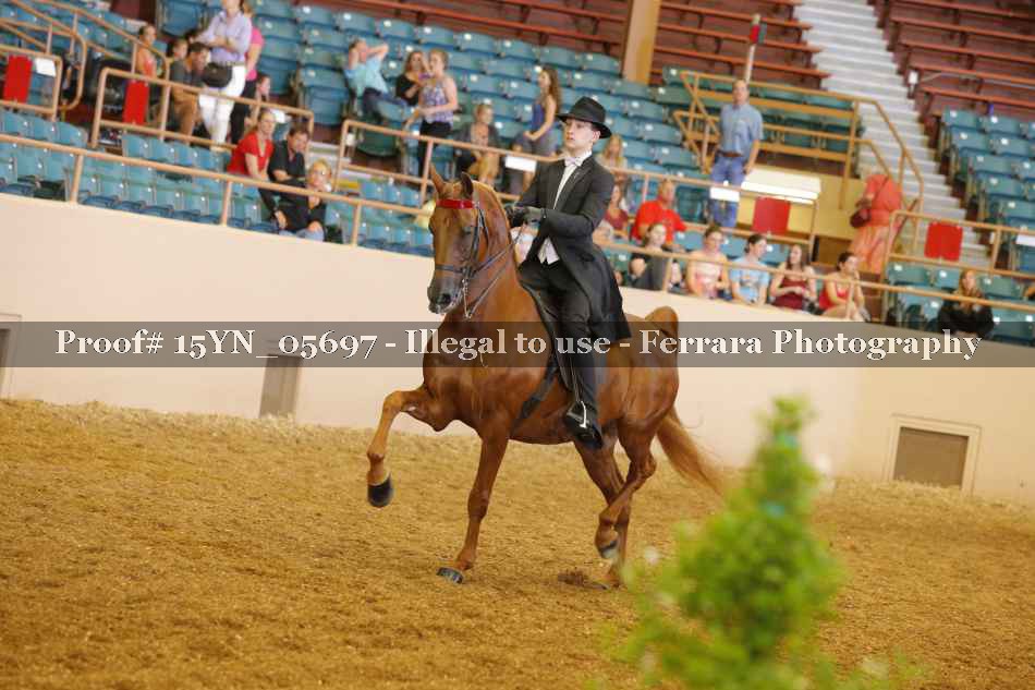 Proof 15YN_05697