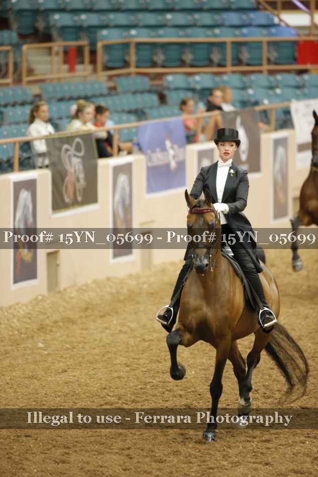 Proof 15YN_05699