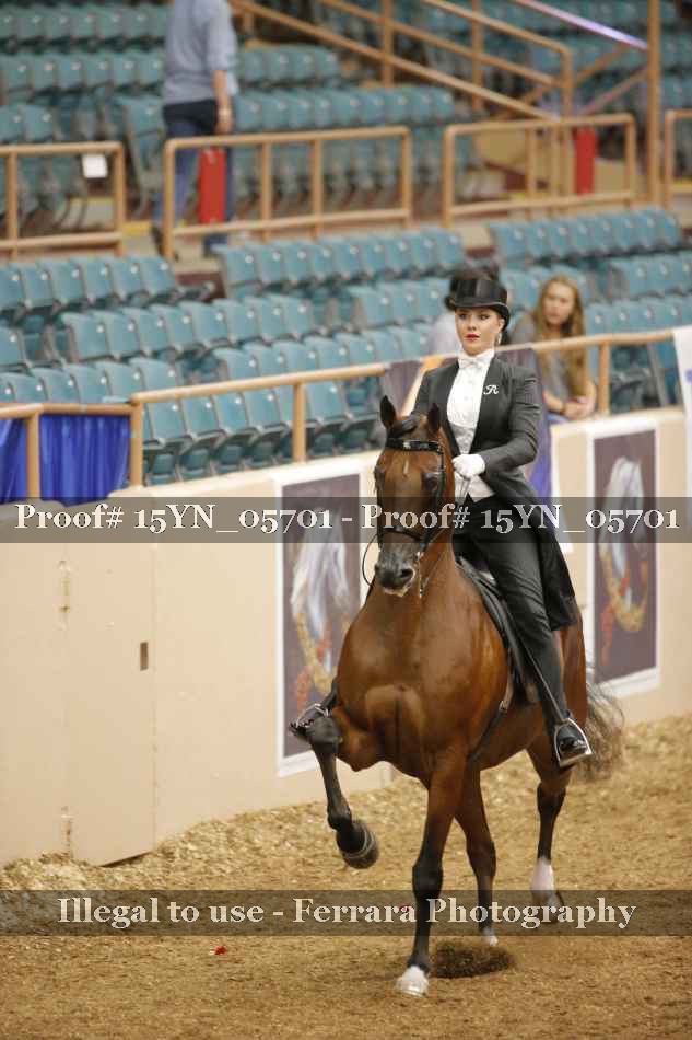 Proof 15YN_05701