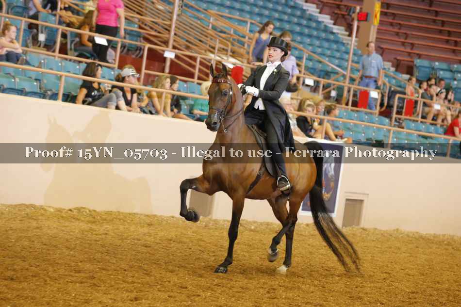 Proof 15YN_05703