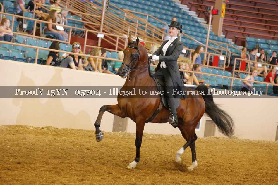 Proof 15YN_05704
