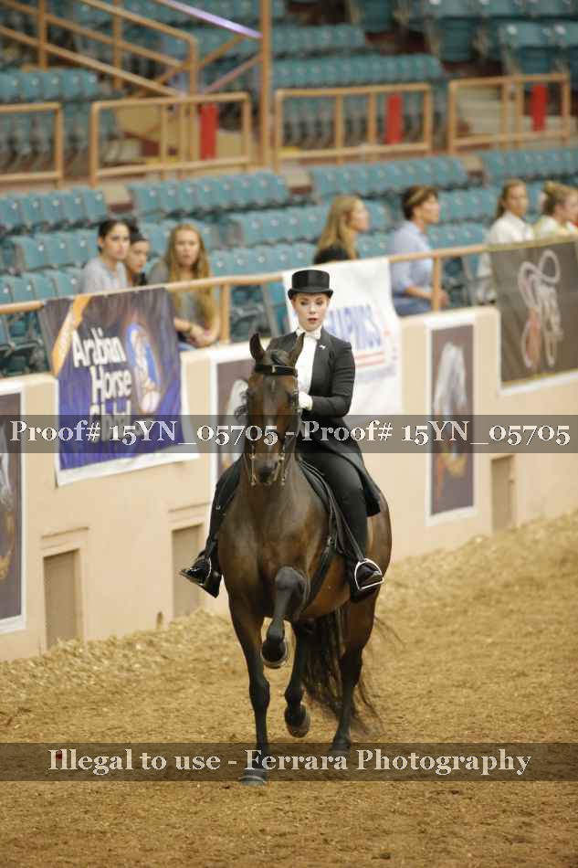 Proof 15YN_05705