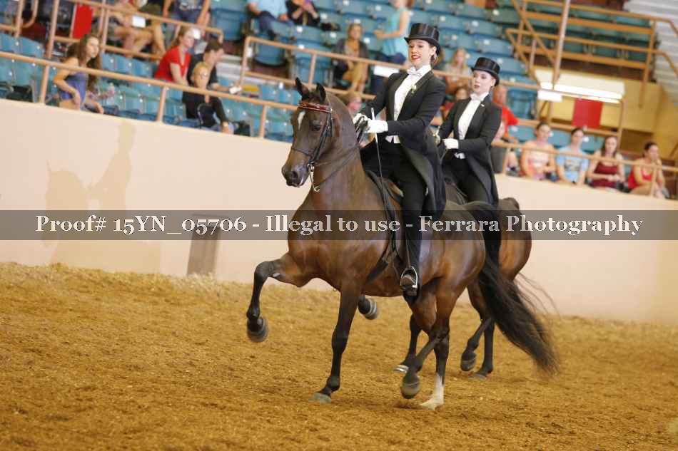 Proof 15YN_05706