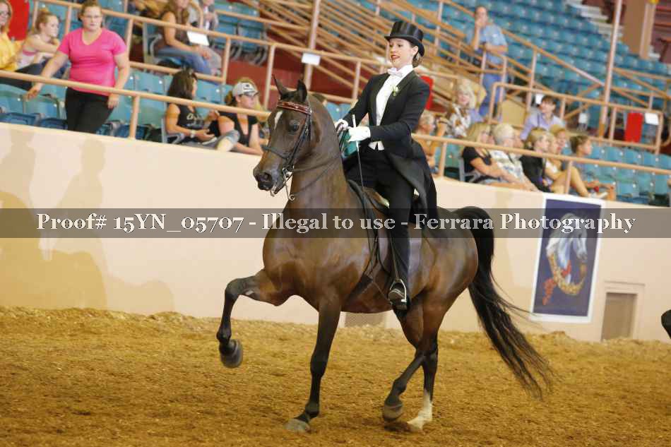 Proof 15YN_05707