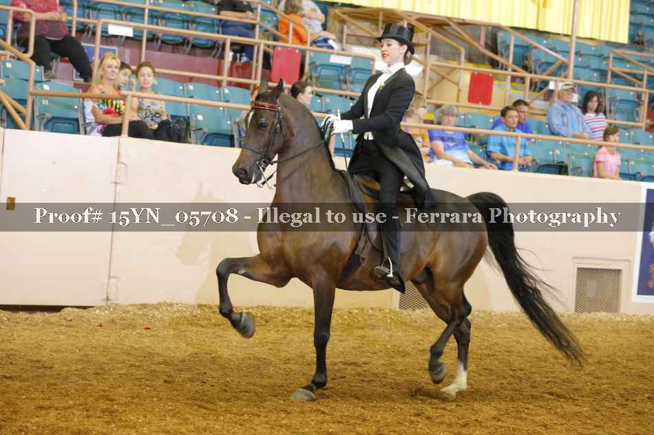 Proof 15YN_05708