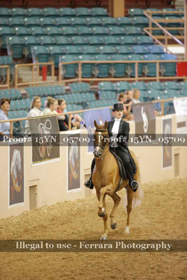 Proof 15YN_05709
