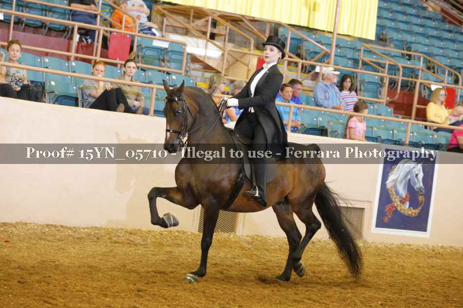 Proof 15YN_05710