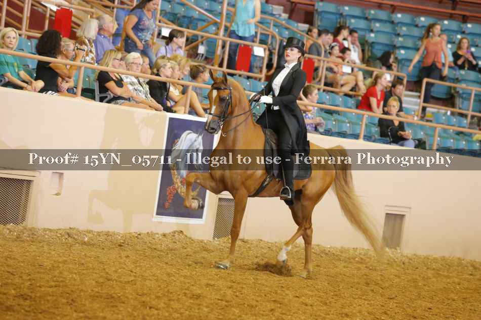Proof 15YN_05711