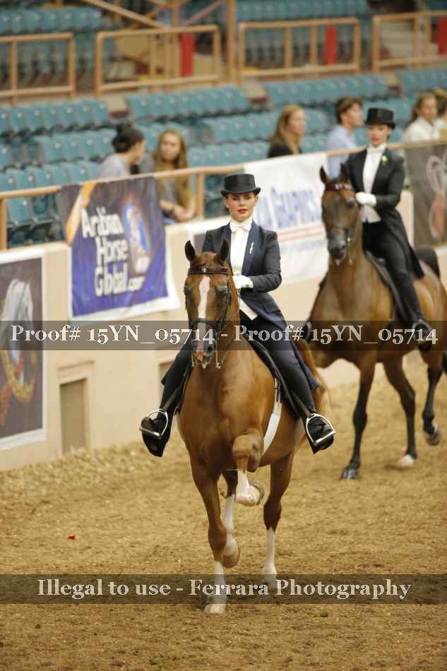 Proof 15YN_05714