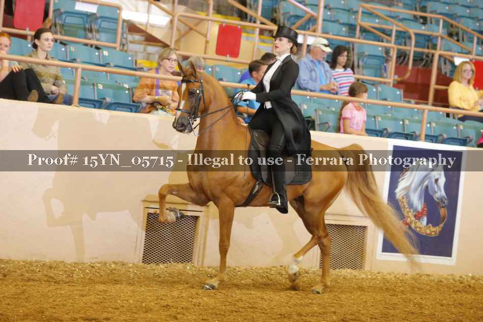 Proof 15YN_05715