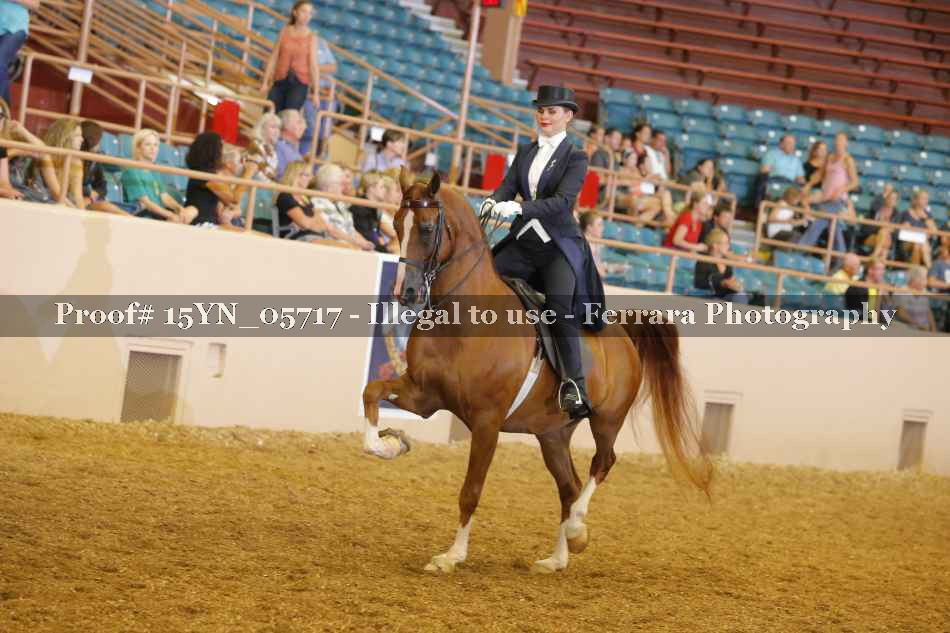 Proof 15YN_05717