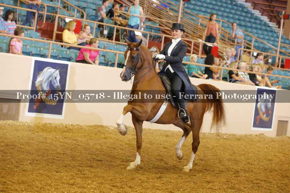 Proof 15YN_05718