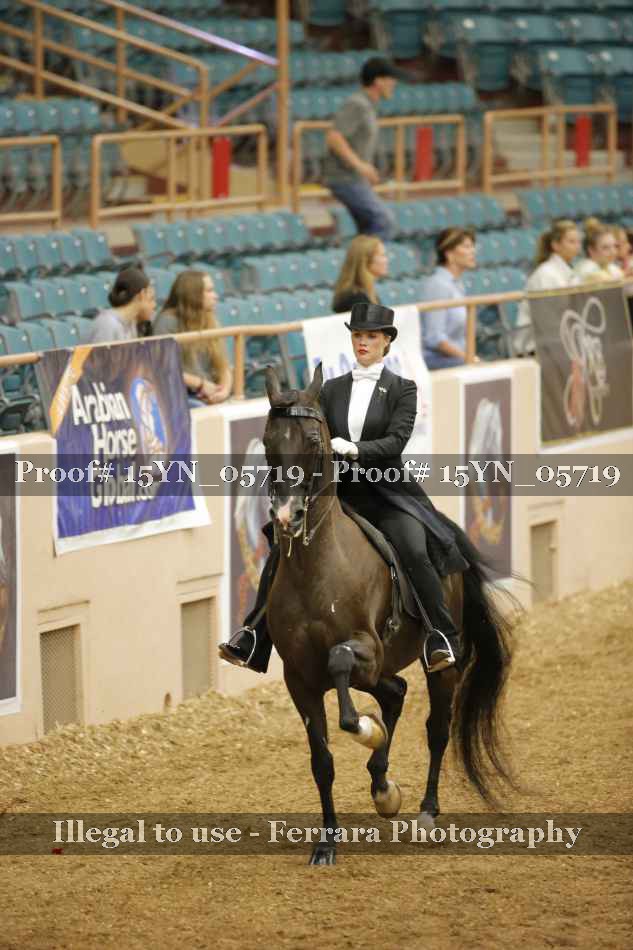 Proof 15YN_05719