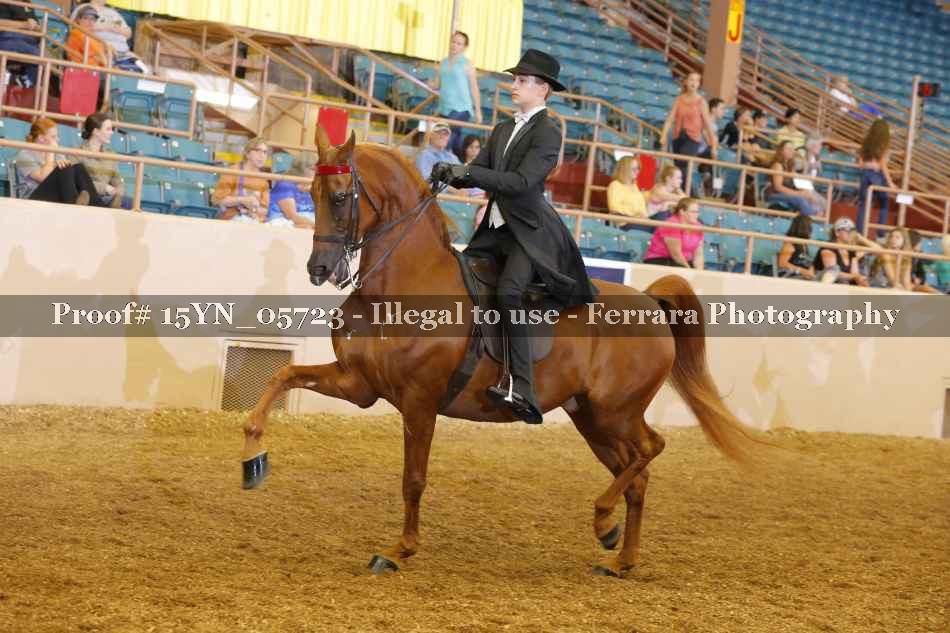 Proof 15YN_05723