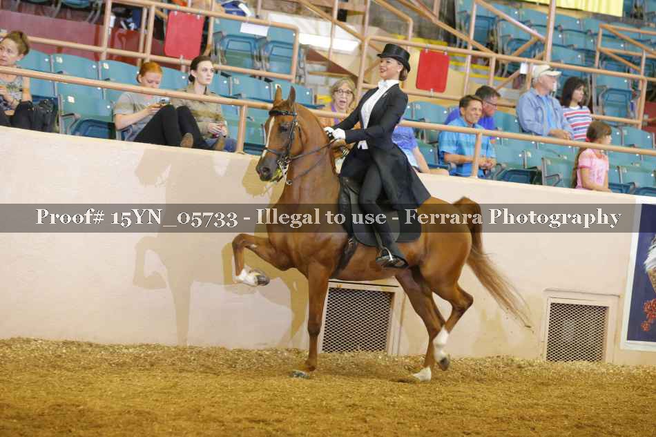 Proof 15YN_05733