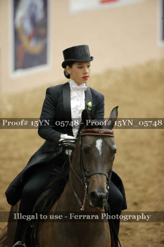 Proof 15YN_05748