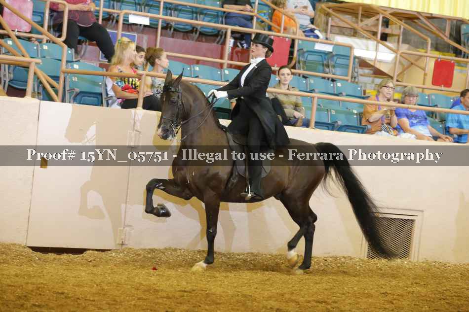 Proof 15YN_05751