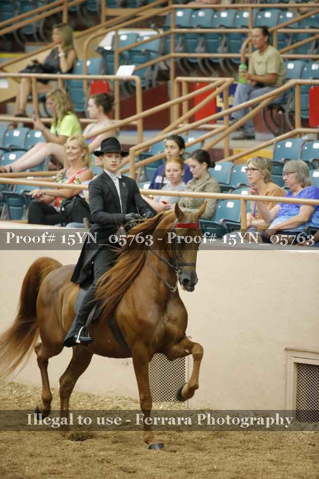 Proof 15YN_05763