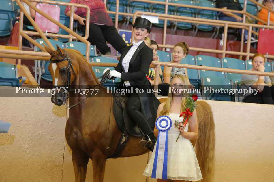 Proof 15YN_05777