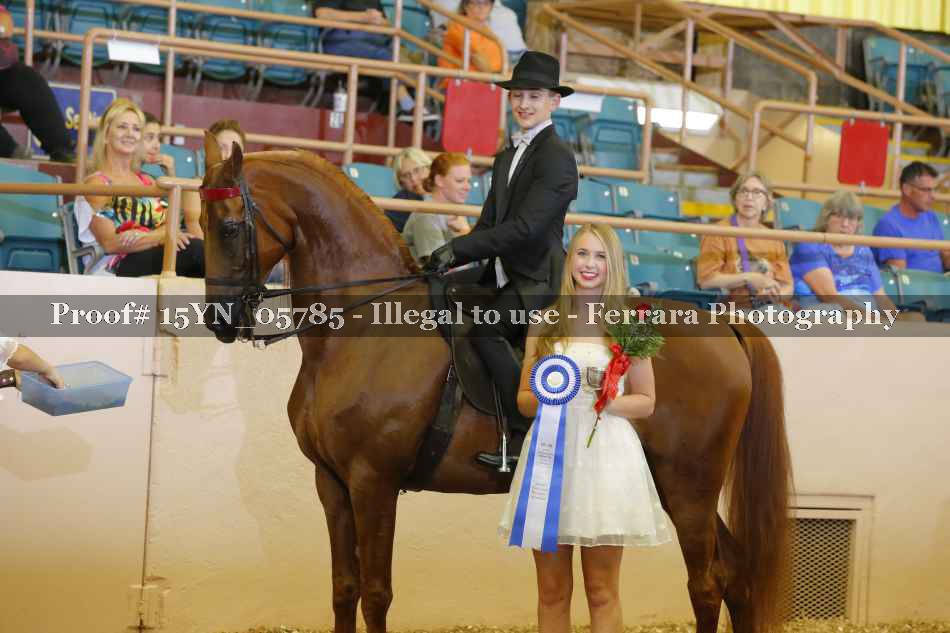 Proof 15YN_05785