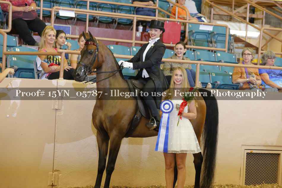 Proof 15YN_05787