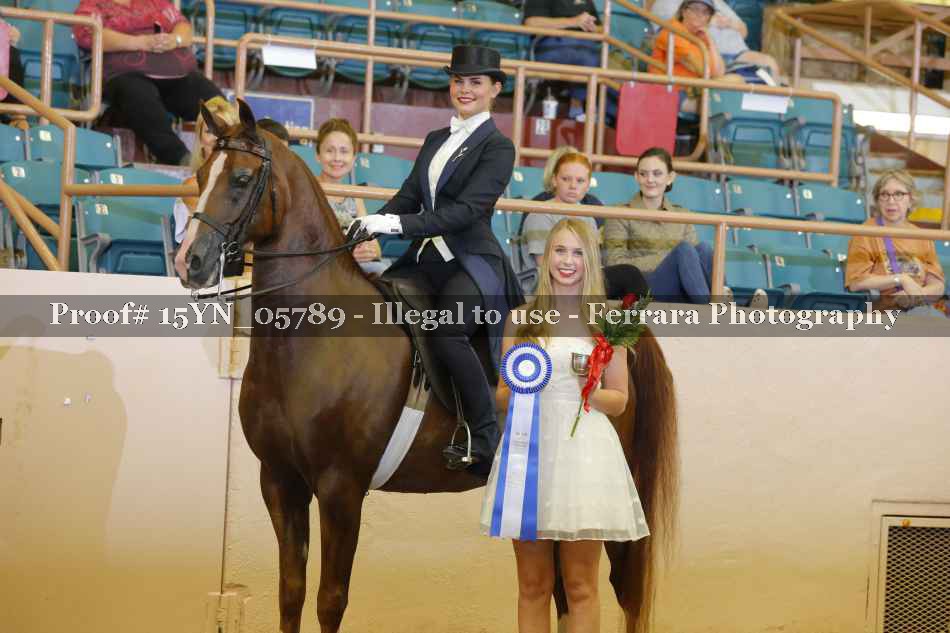 Proof 15YN_05789