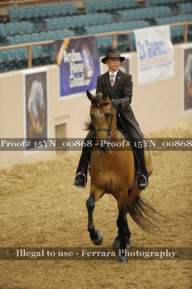 Proof 15YN_00868