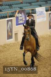 15YN_00868 proof