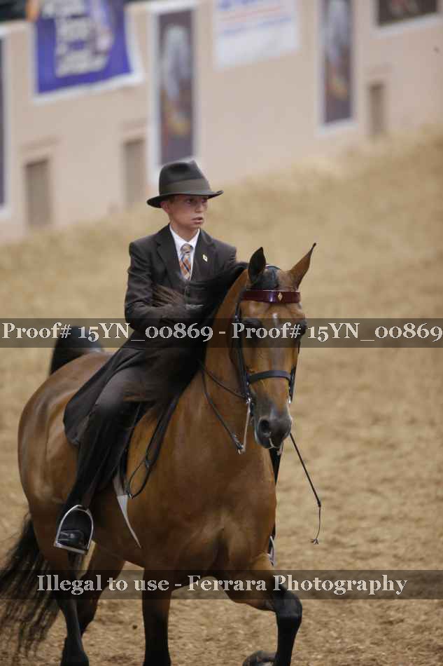 Proof 15YN_00869