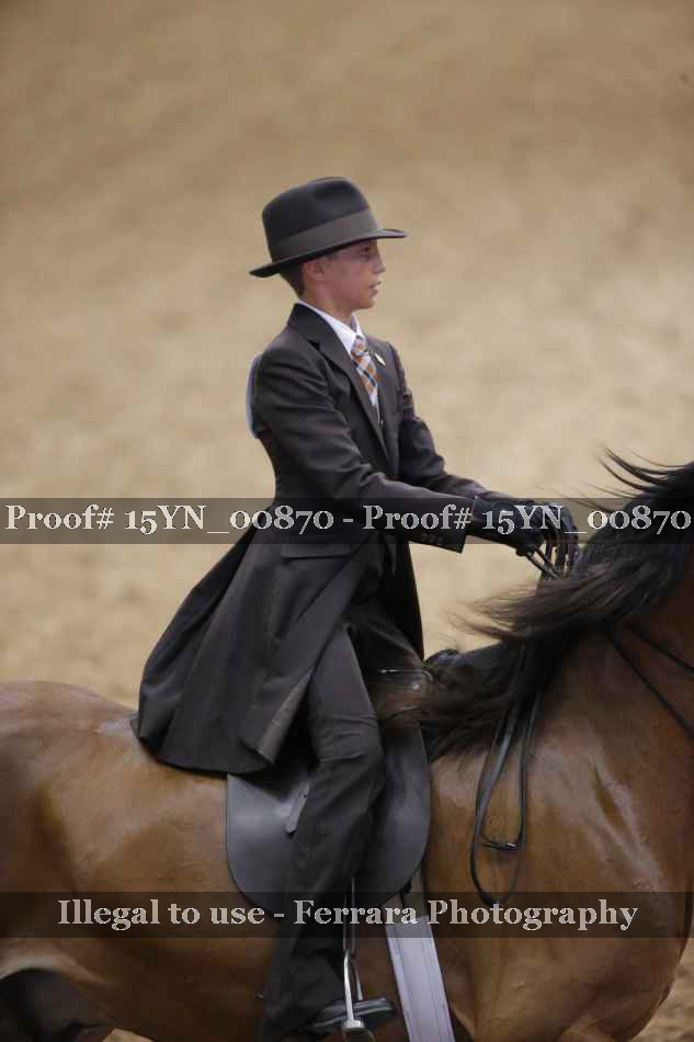 Proof 15YN_00870