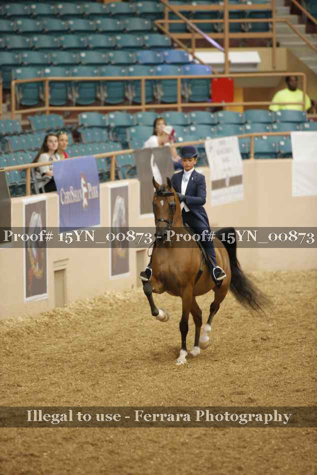 Proof 15YN_00873